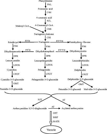 Fig. 9