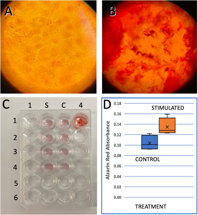 Fig. 4