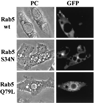 FIG. 4.