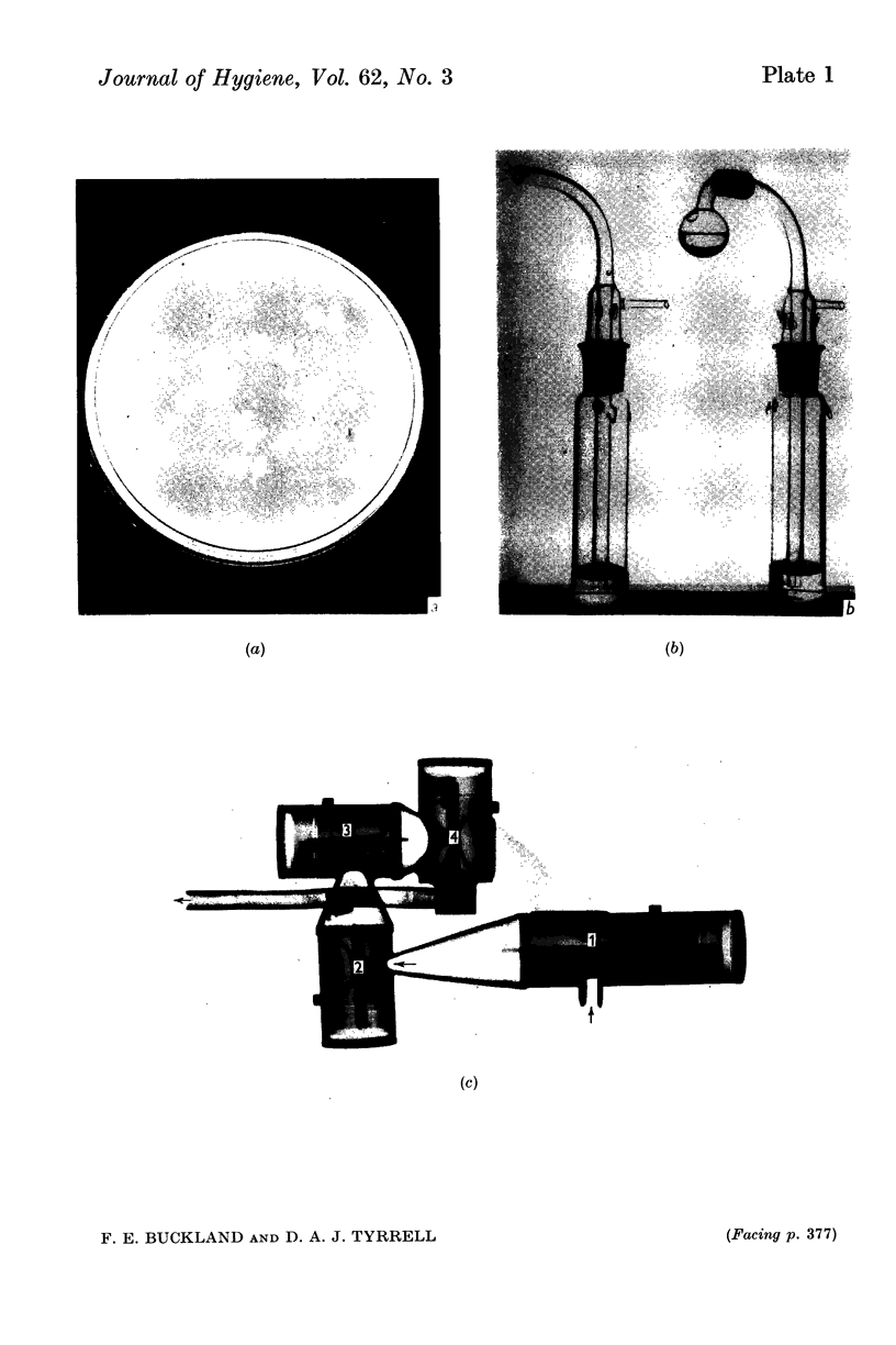 376-2