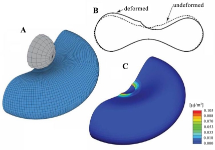 Fig. 5.