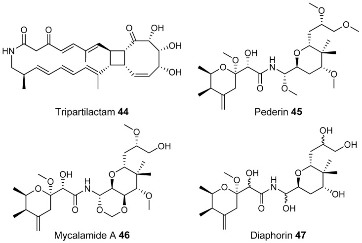 Figure 13