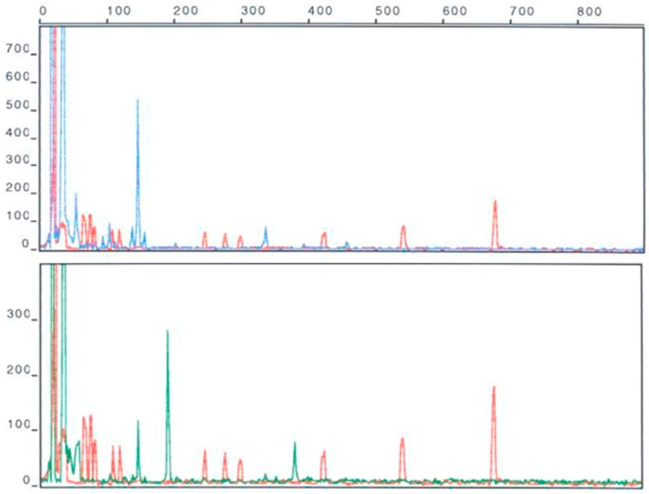 Figure 24