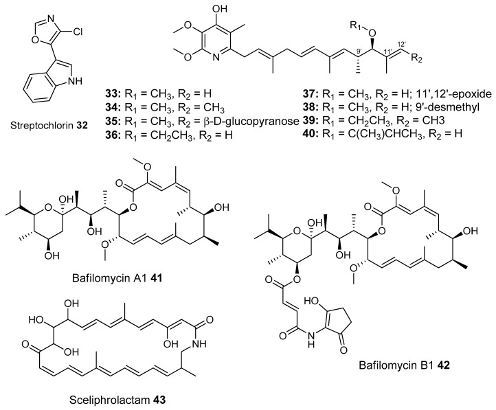 Figure 12