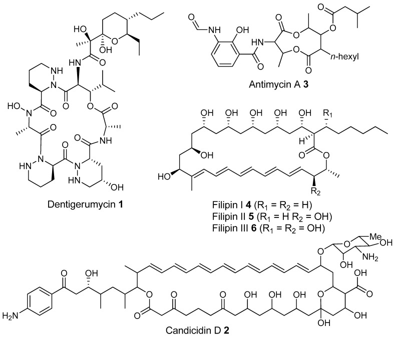 Figure 7