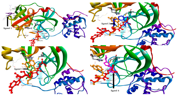 Figure 4