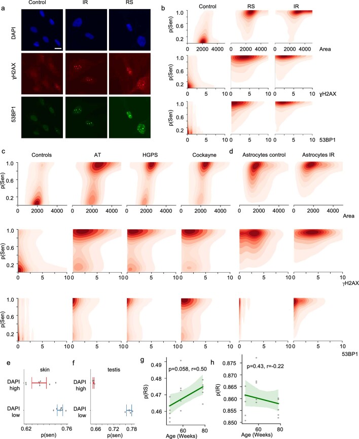 Extended Data Fig. 5