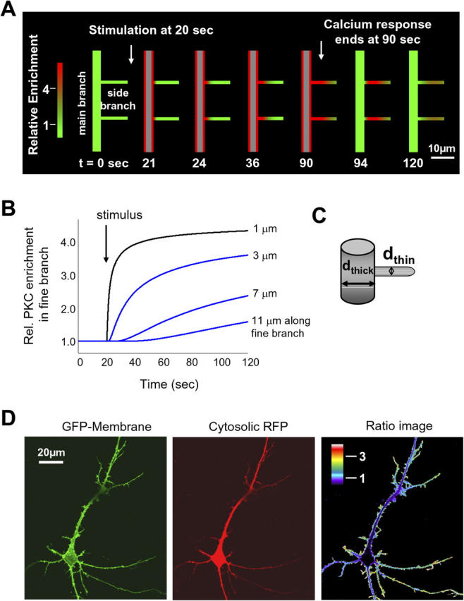 Figure 6.