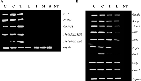 FIG. 5.