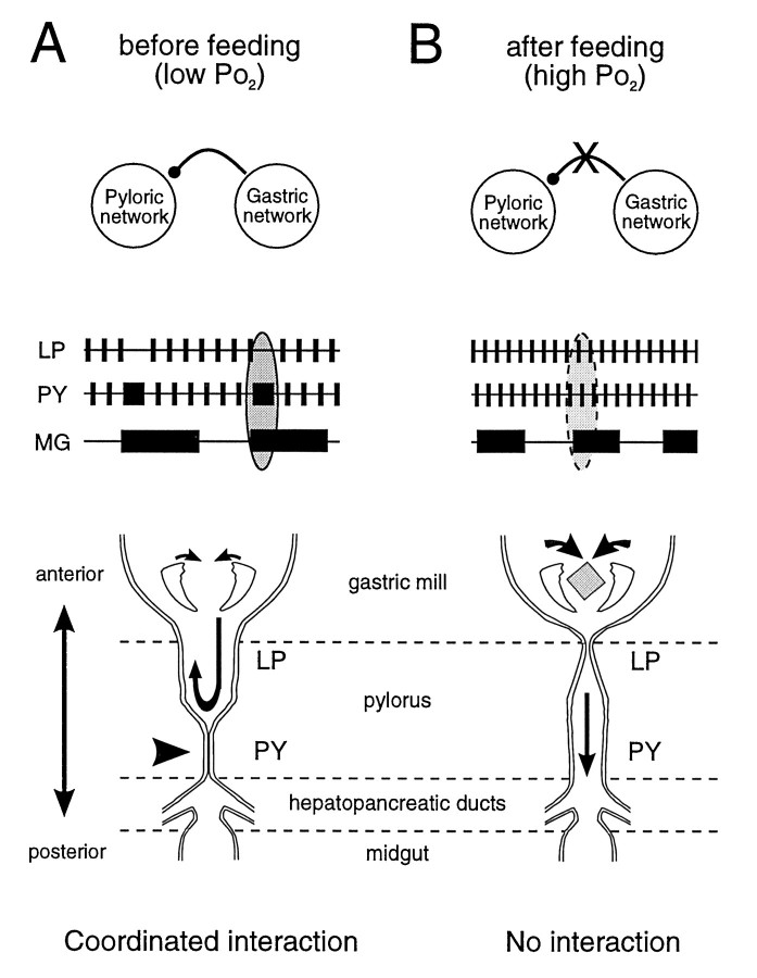 Fig. 9.