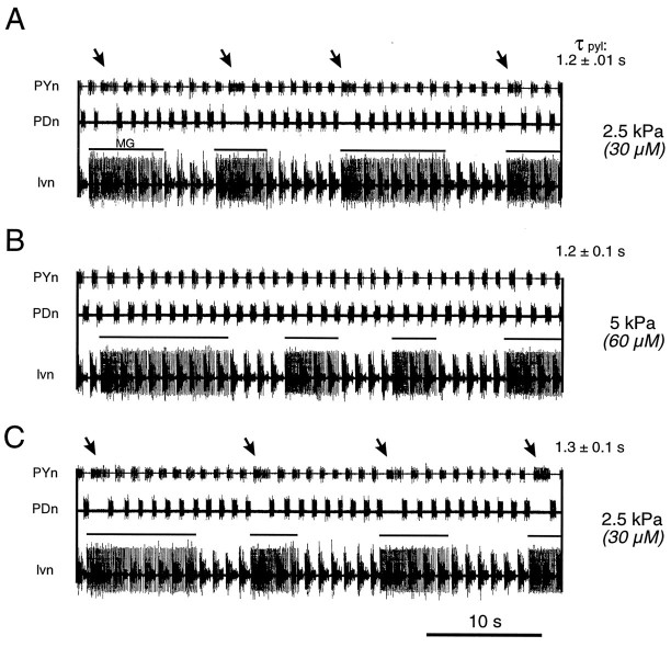 Fig. 7.