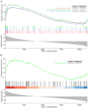Figure 7. Gene set enrichment analysis of FN1. Co–enriched (A) Gene Ontology terms and (B) Kyoto Encyclopedia of Genes and Genomes pathways.