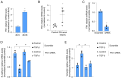 Figure 10. Validation of the expression of FN1 in the kidney of mice with DN and in patients with DN. Relative expression of FN1 mRNA in (A) kidney of mice (n=6) and (B) human kidney renal biopsy samp...