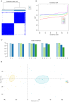 Figure 5. Potential molecular subtypes of diabetic nephropathy based on hub genes from dataset no. GSE96804 of the Gene Expression Omnibus. (A) Consensus matrix heatmap when k=2. (B) Representative CD...