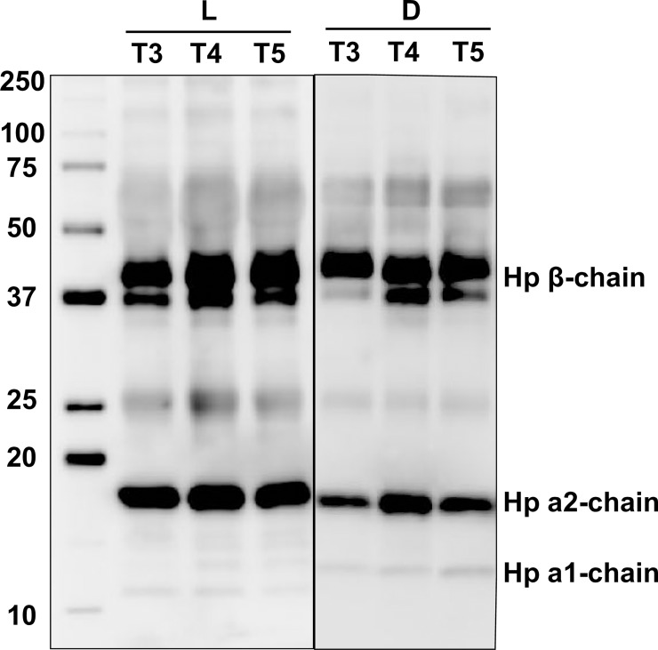 Fig 10