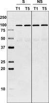 Fig 11