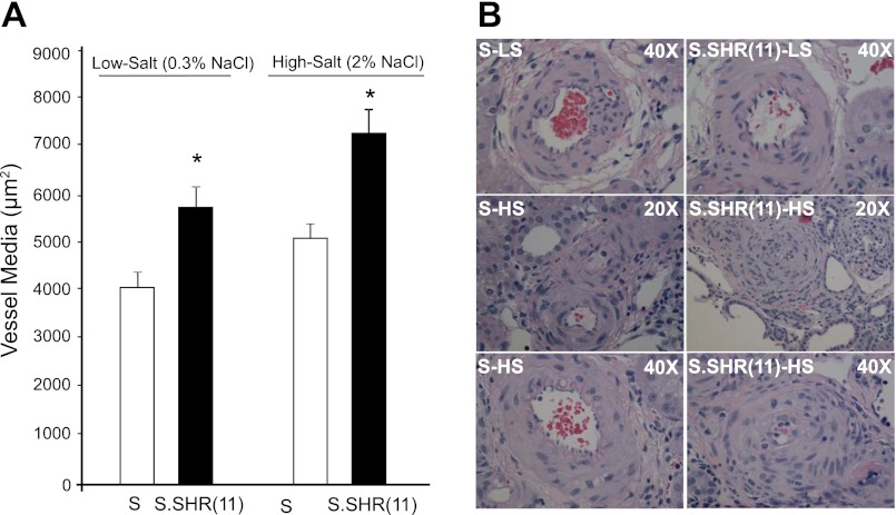 Fig. 6.