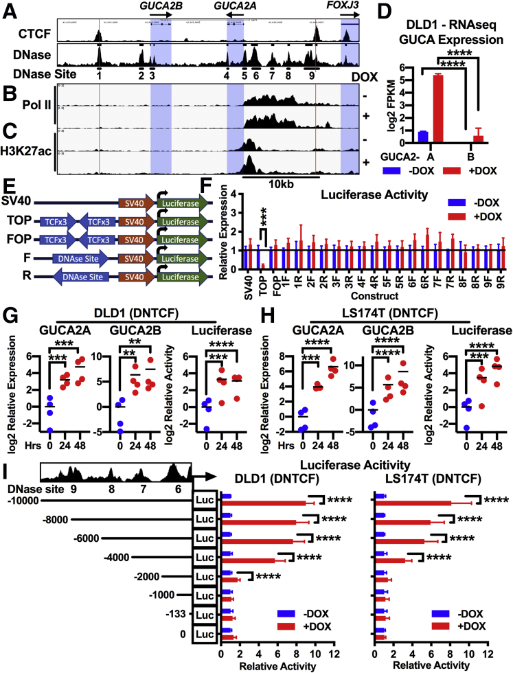 Figure 6