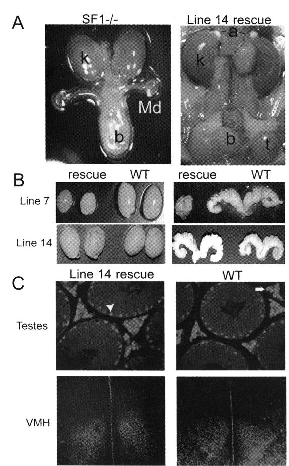 FIGURE 3