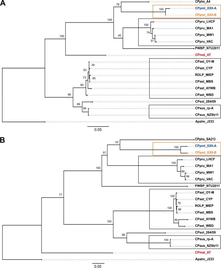 FIG 2