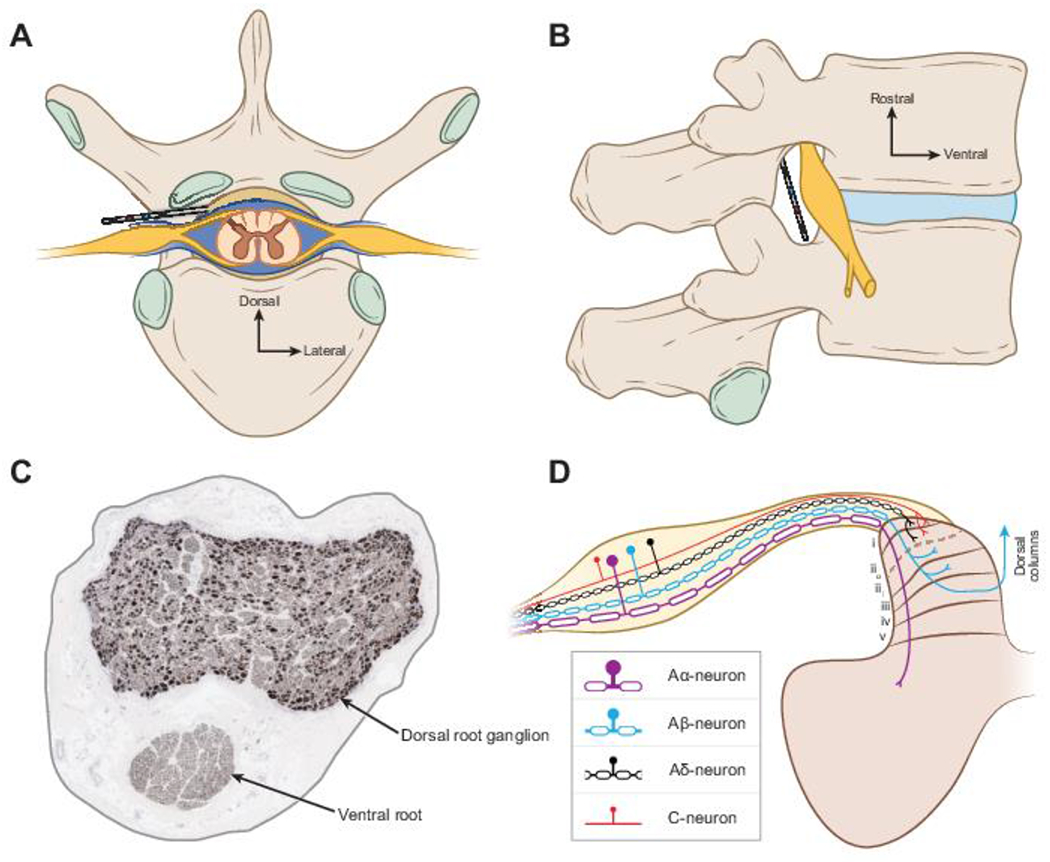 Figure 1: