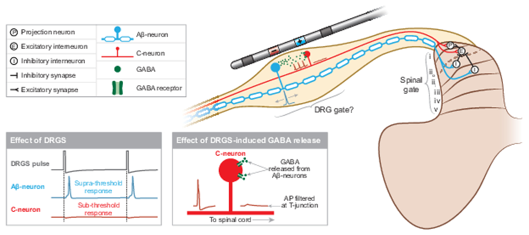 Figure 2: