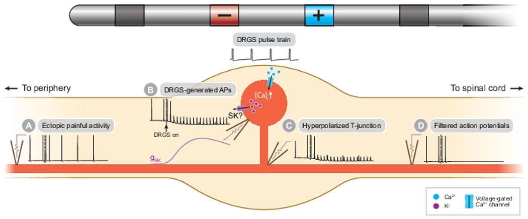 Figure 3: