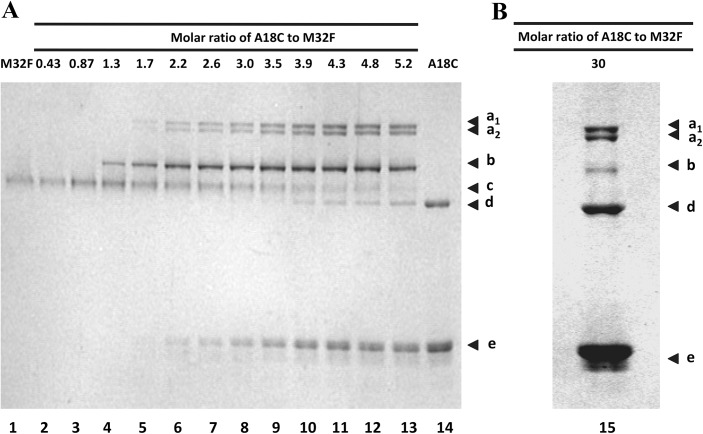 Fig 3