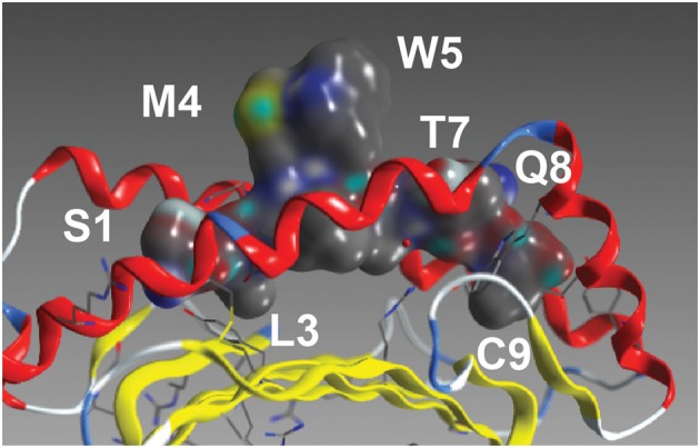 Figure 2