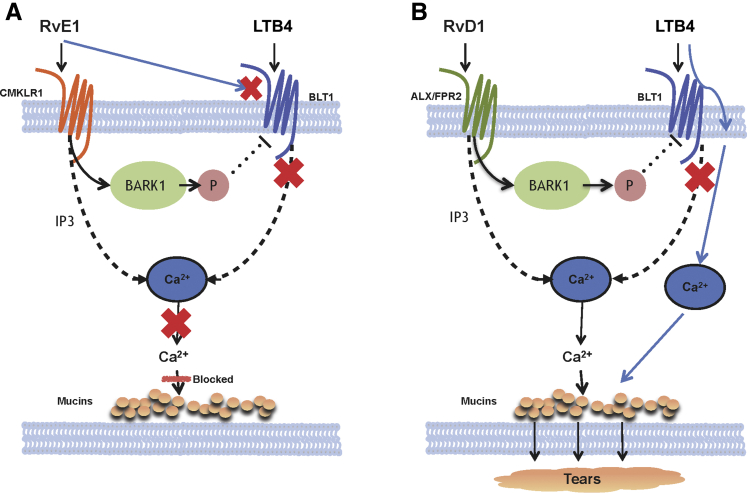 Figure 7