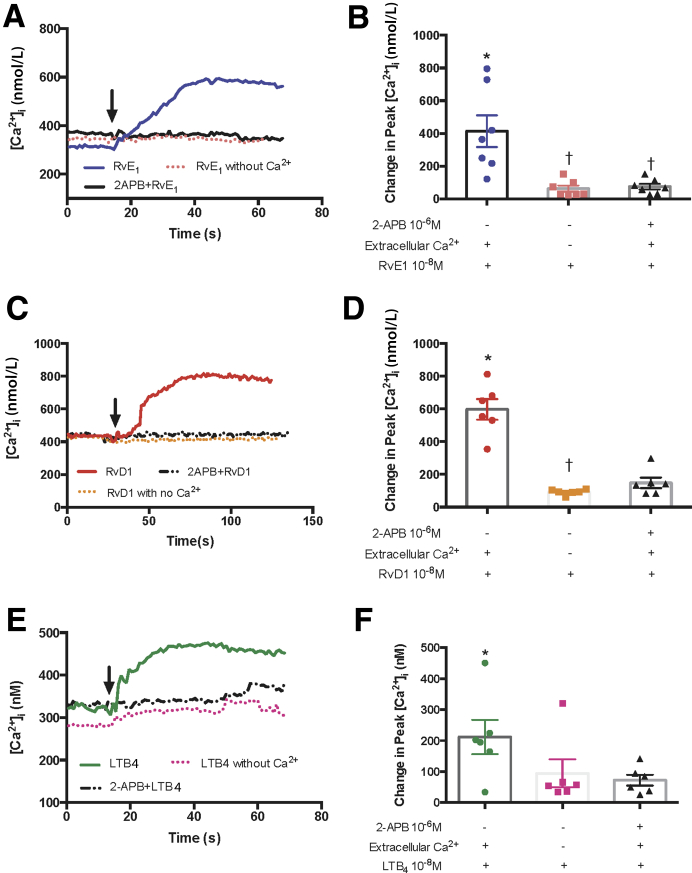 Figure 5