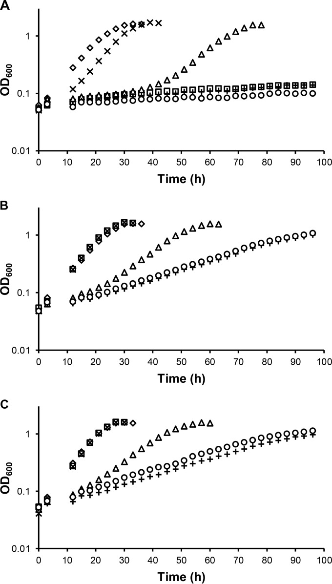 FIG 1