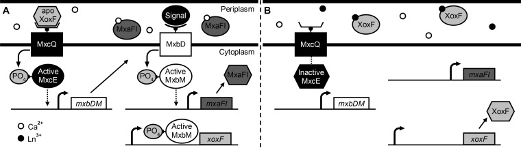 FIG 8