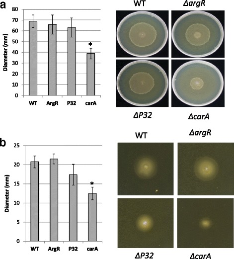 Fig. 9