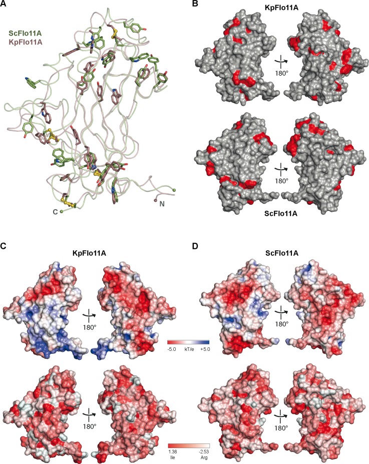 Figure 4—figure supplement 2.