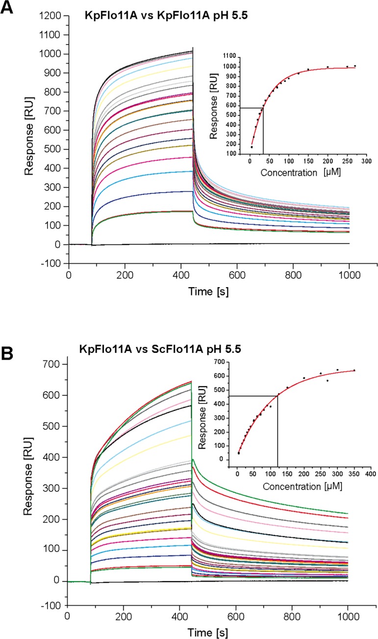 Figure 4—figure supplement 4.