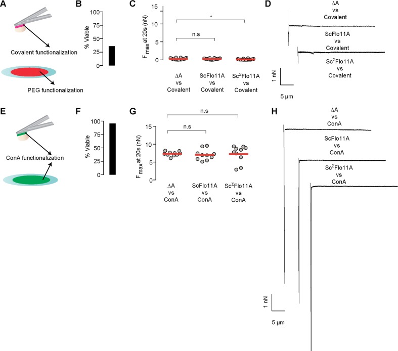 Figure 2—figure supplement 2.