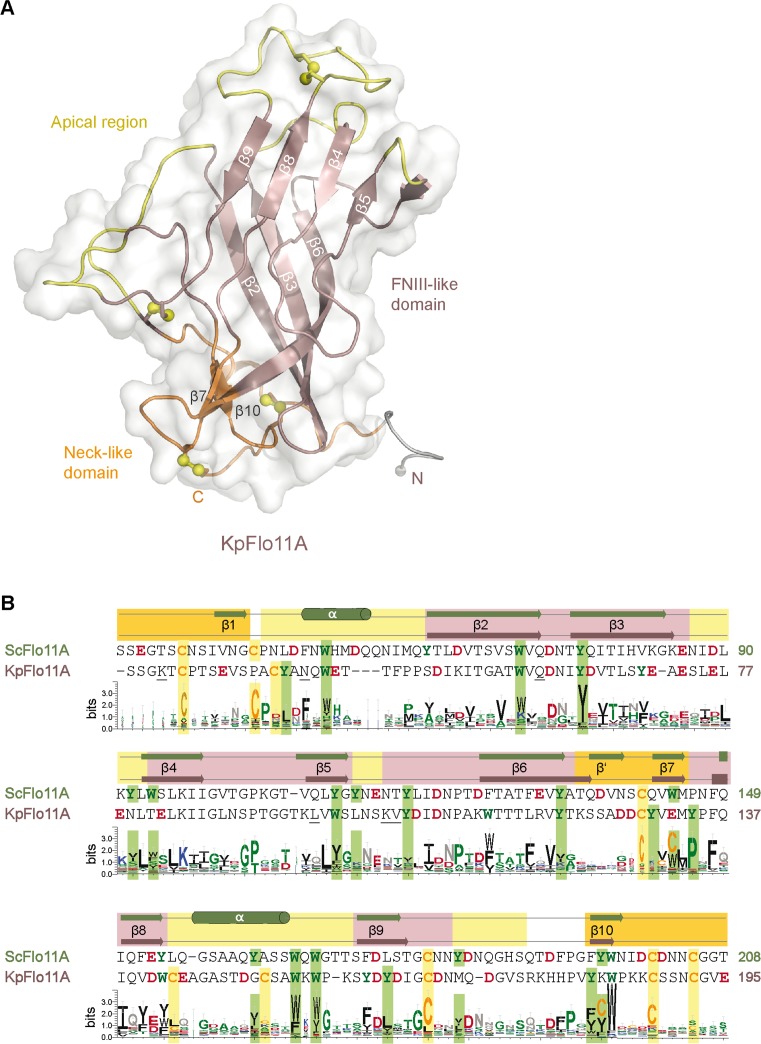 Figure 4—figure supplement 1.