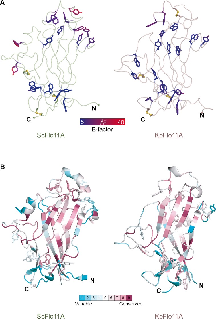 Figure 4—figure supplement 3.