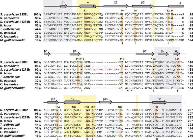 Figure 1—figure supplement 1.