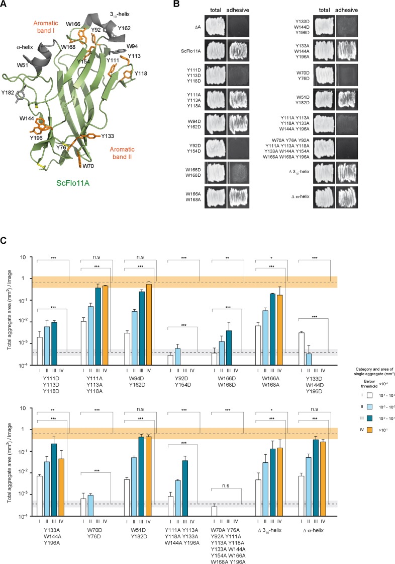 Figure 3—figure supplement 1.