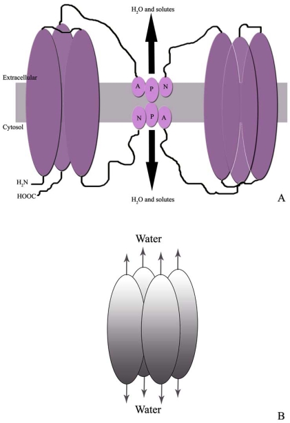 Fig. (1)