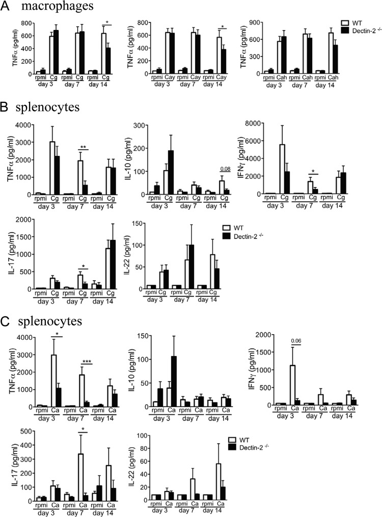 FIG 4