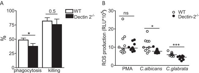 FIG 6