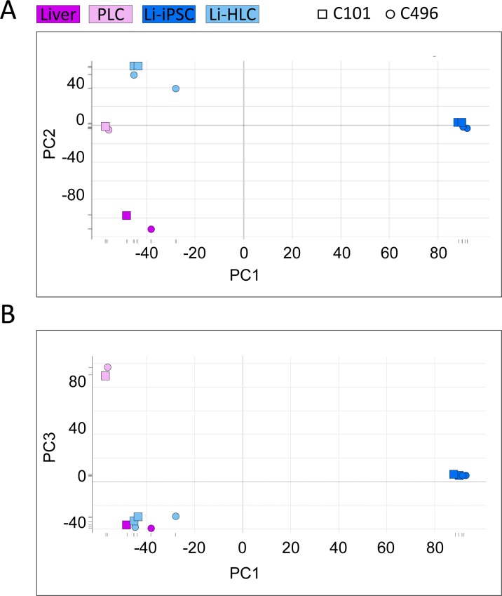 Fig 7