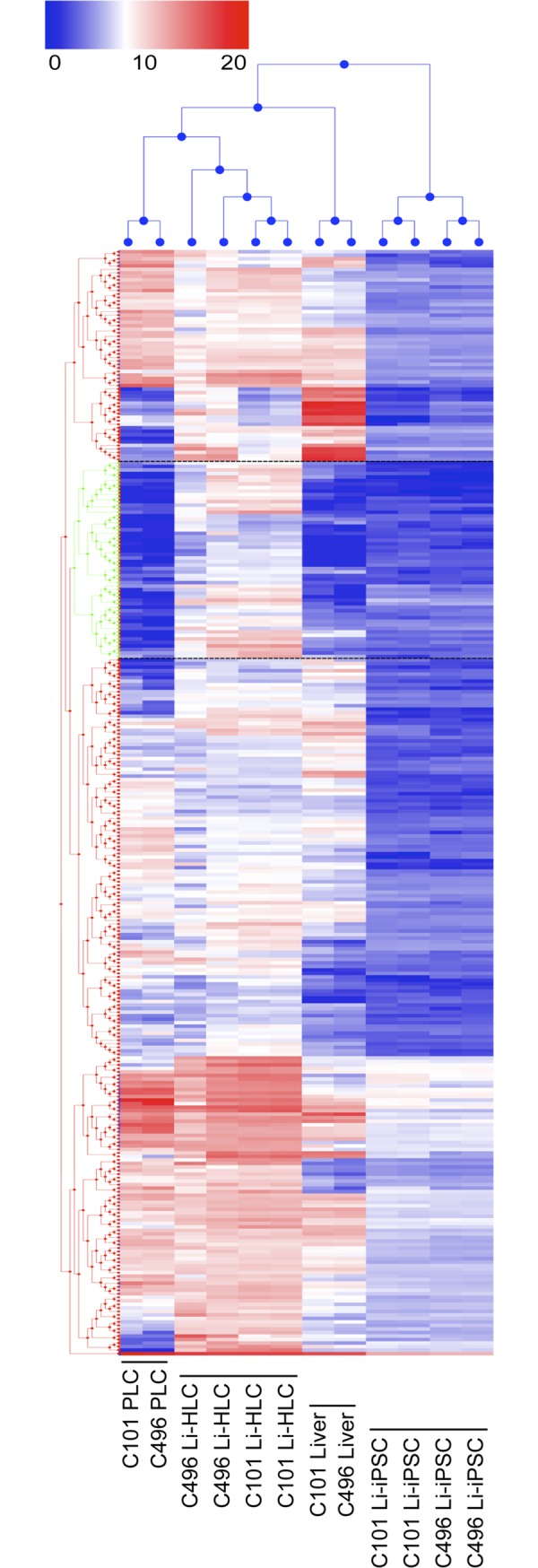 Fig 10