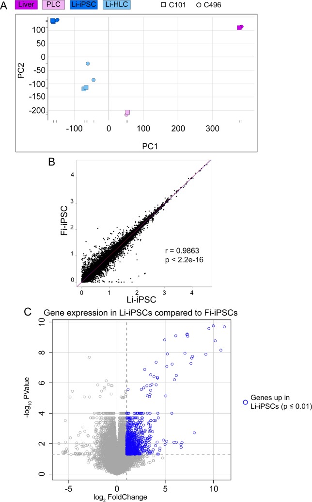 Fig 5