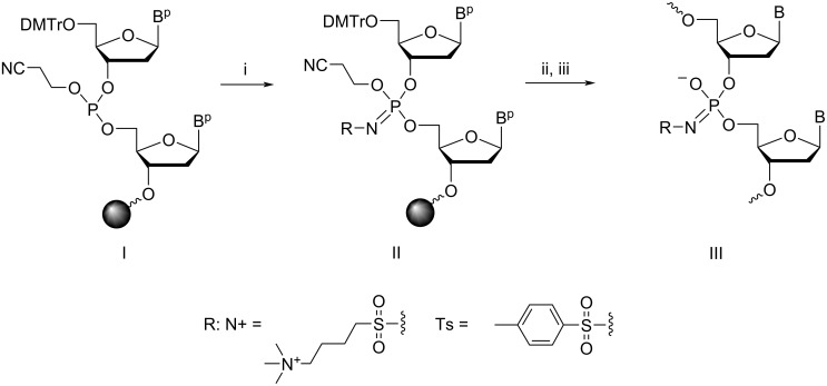 Scheme 1