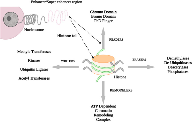 FIGURE 1