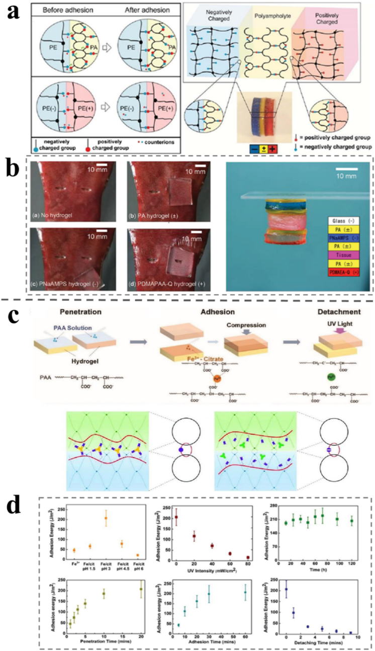 Fig. 4